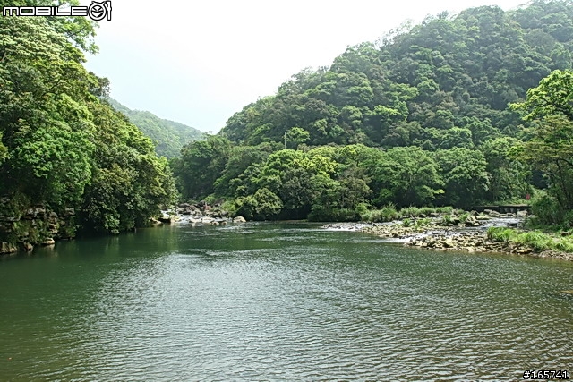 坪林_黑龍潭露營地