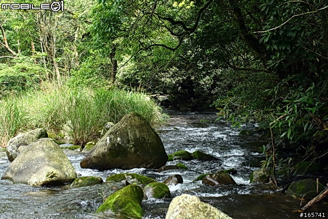 坪林_黑龍潭露營地