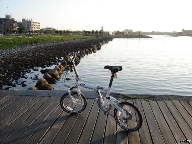 『Birdy』車友來報到吧!