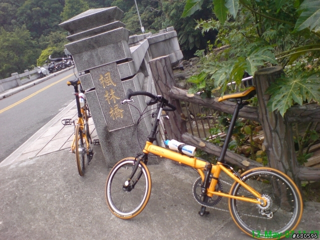 DAHON 小芒果上風櫃嘴