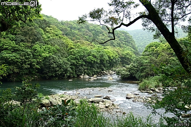 坪林_黑龍潭露營地