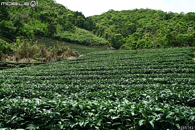 坪林_黑龍潭露營地