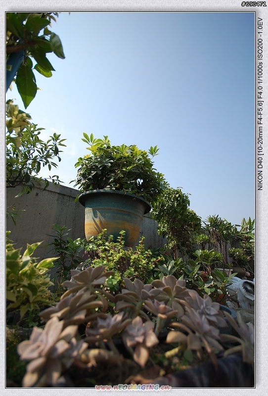 .....還是開箱了.....NIKON D40