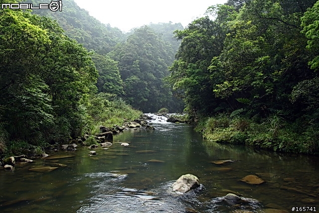 坪林_黑龍潭露營地