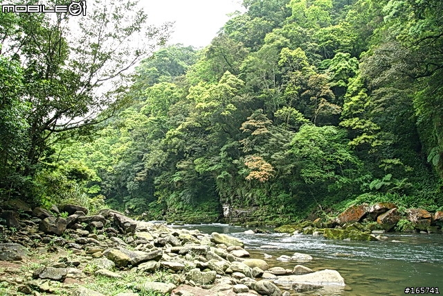 坪林_黑龍潭露營地