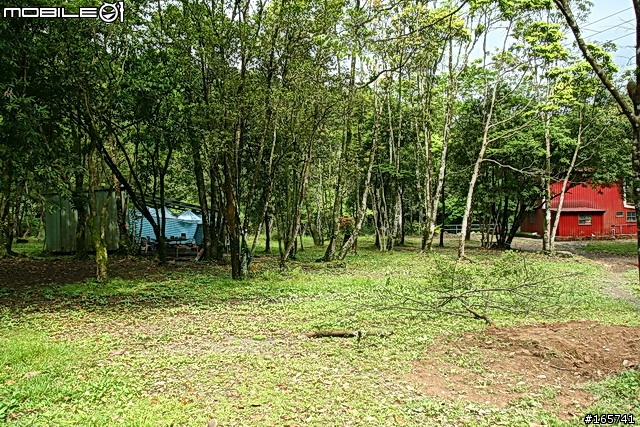 坪林_黑龍潭露營地