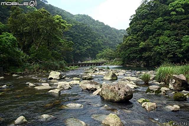 坪林_黑龍潭露營地
