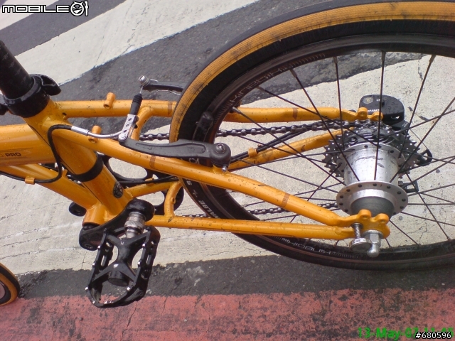 DAHON 小芒果上風櫃嘴