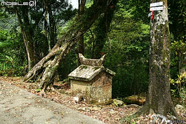 坪林_黑龍潭露營地