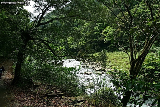 坪林_黑龍潭露營地