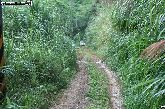 Asia Rally奪冠計畫!卷終:Off Road 實戰!