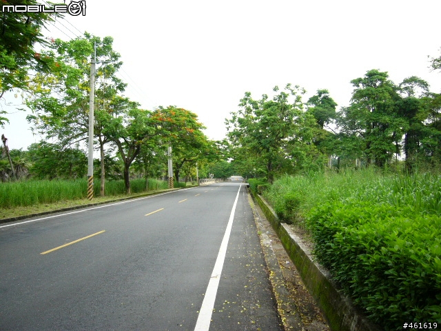 大賣場折疊車升級全記錄+驗收之行(土產採購推薦)