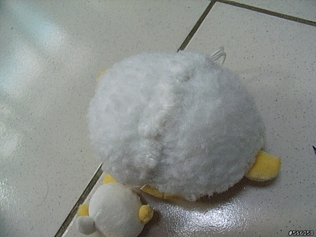 ~手術開始了~今日病患 :小羊