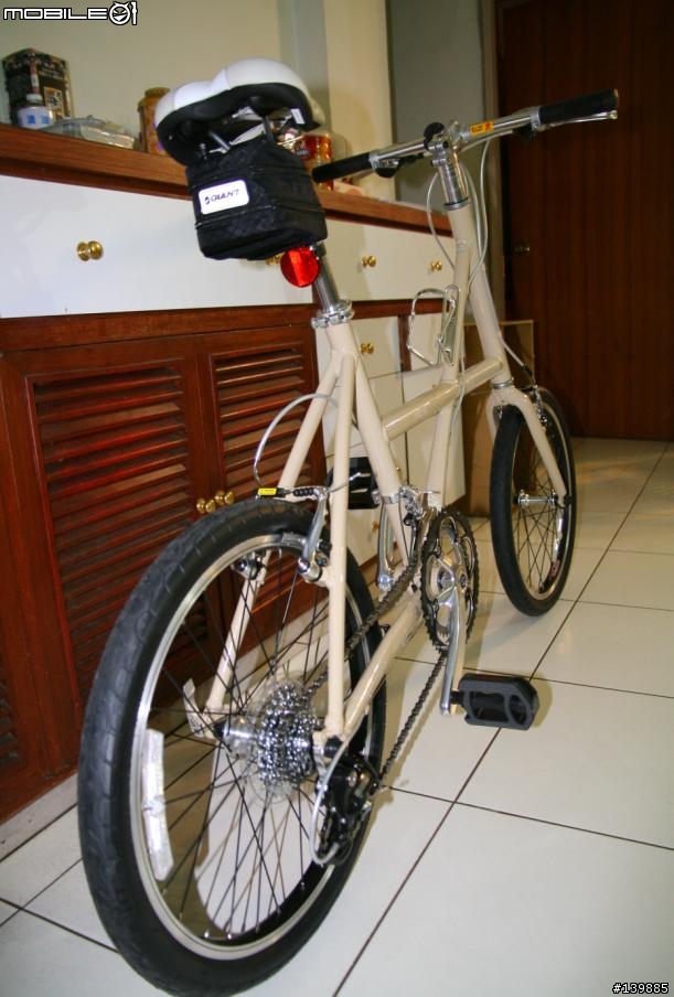 GIANT mini2 入手