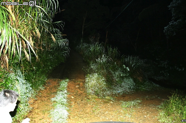 Asia Rally奪冠計畫!卷終:Off Road 實戰!