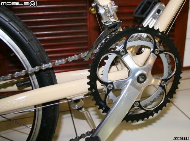 GIANT mini2 入手