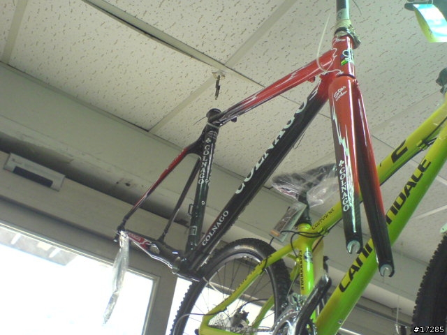 (單車分享)火紅 可樂果colnago C50