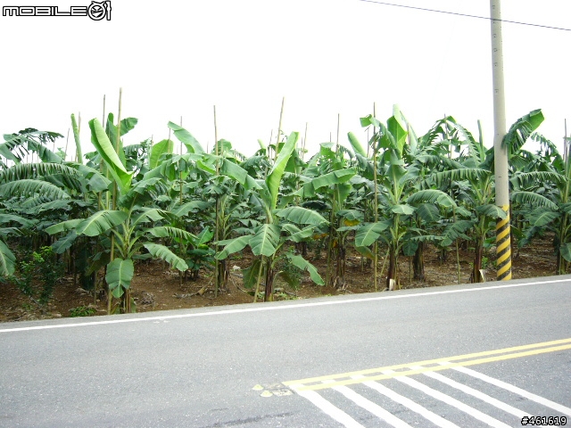 大賣場折疊車升級全記錄+驗收之行(土產採購推薦)