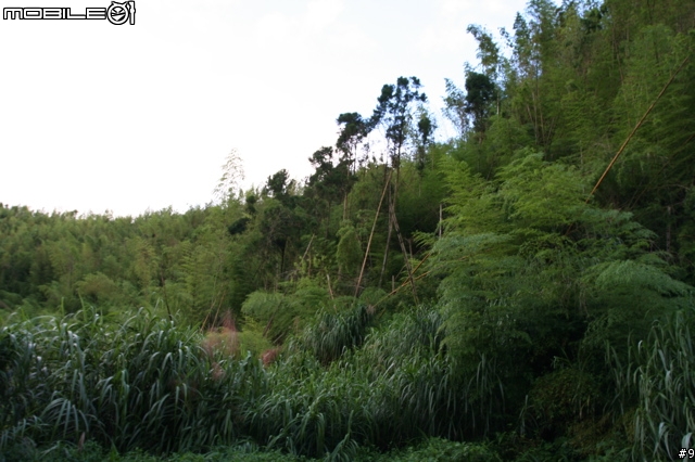 Asia Rally奪冠計畫!卷終:Off Road 實戰!
