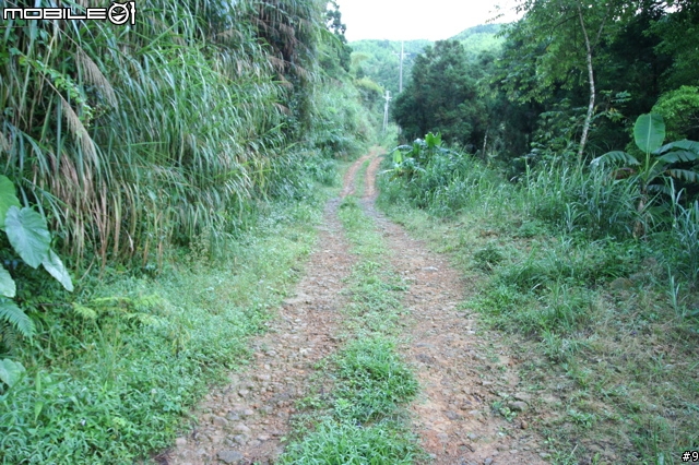 Asia Rally奪冠計畫!卷終:Off Road 實戰!