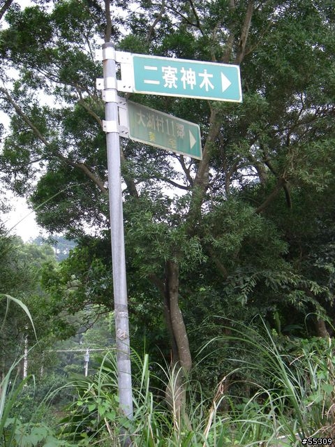 二寮神木