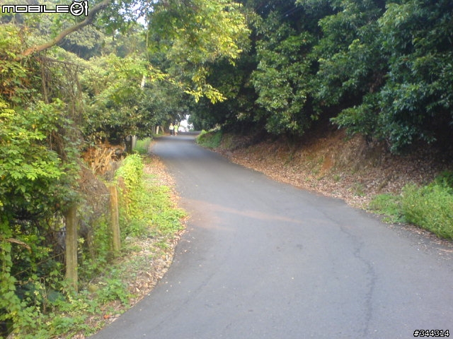 分享一下平常騎車的路線,四百崁到鳳山寺