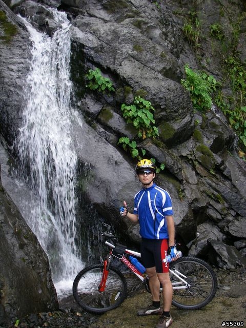羅山林道北線