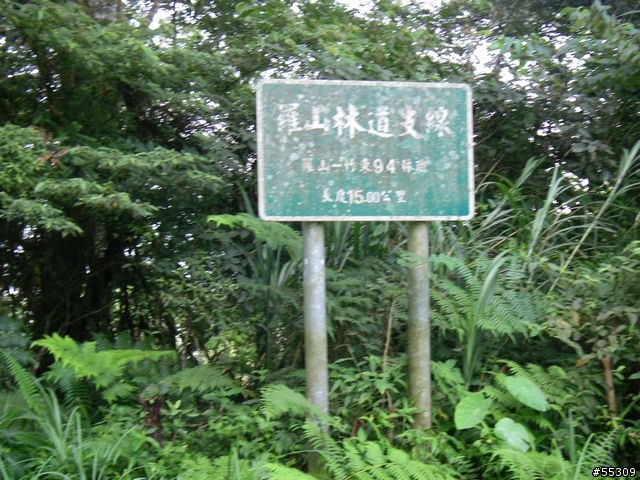 羅山林道北線