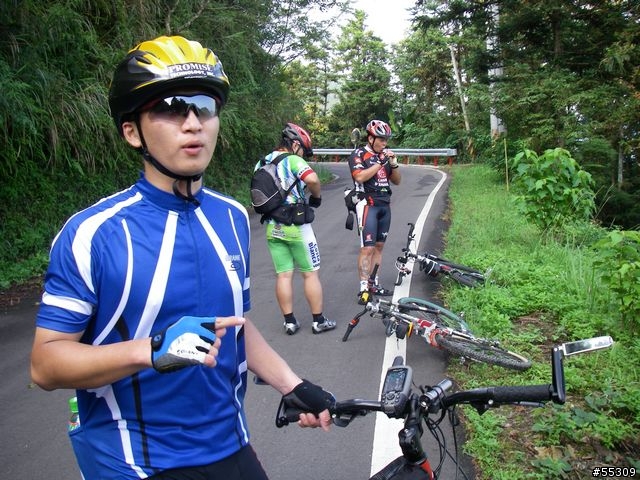 羅山林道北線