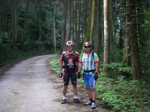 羅山林道北線