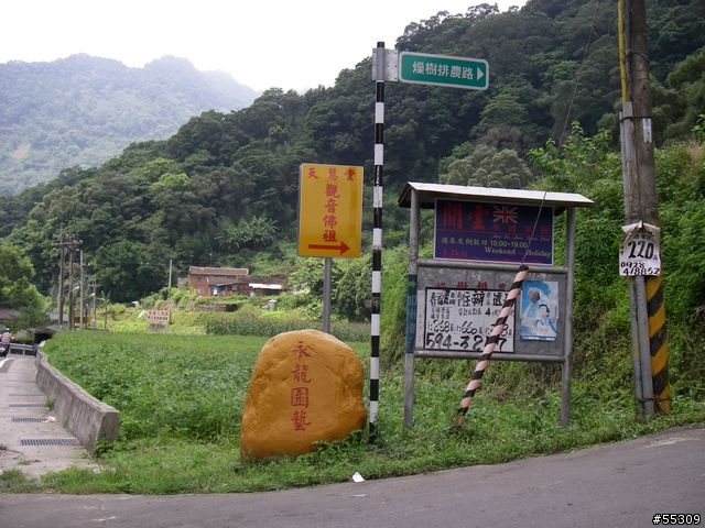 二寮神木