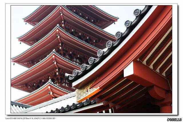 東京、 伊豆半島五日遊