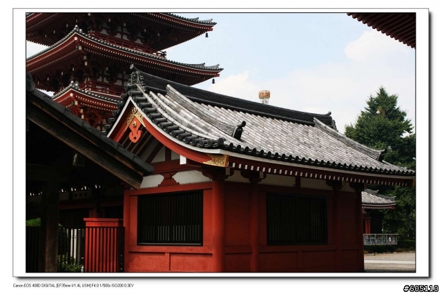 東京、 伊豆半島五日遊