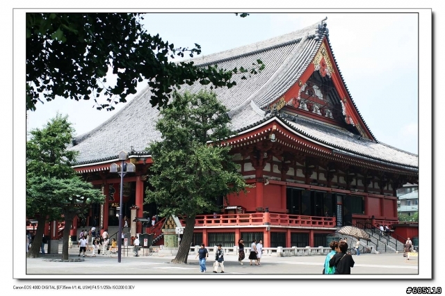 東京、 伊豆半島五日遊