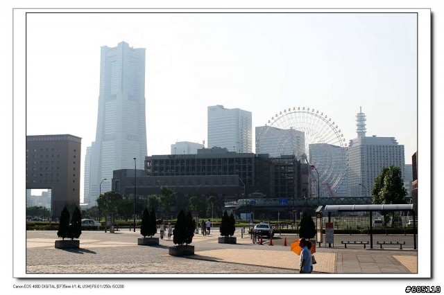 東京、 伊豆半島五日遊