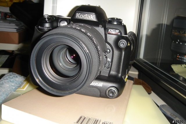 sigma 70mm macro 微距鏡頭隨手拍(2007年TIPA年度最佳高階鏡頭)