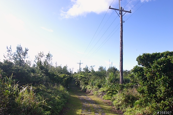 過山步道