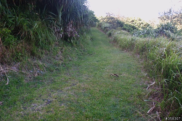 過山步道