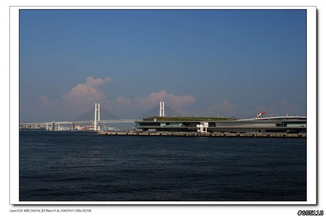 東京、 伊豆半島五日遊