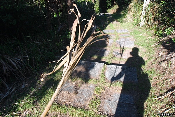 過山步道