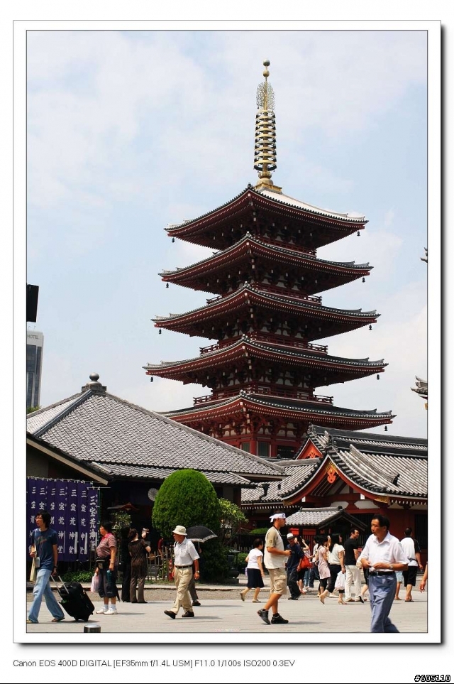 東京、 伊豆半島五日遊