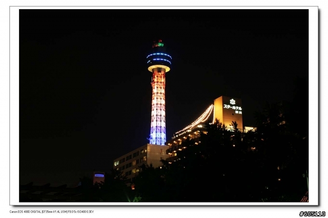 東京、 伊豆半島五日遊