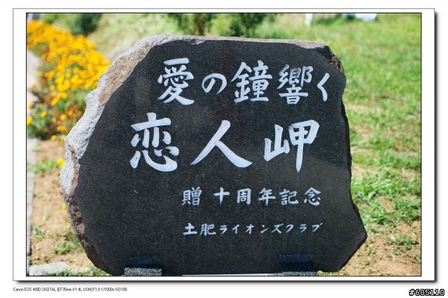 東京、 伊豆半島五日遊
