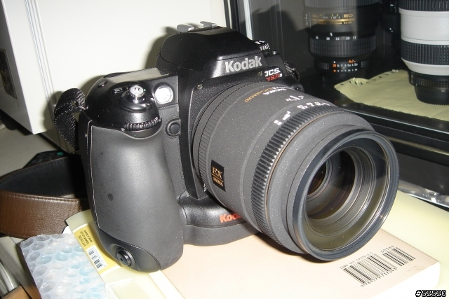 sigma 70mm macro 微距鏡頭隨手拍(2007年TIPA年度最佳高階鏡頭)