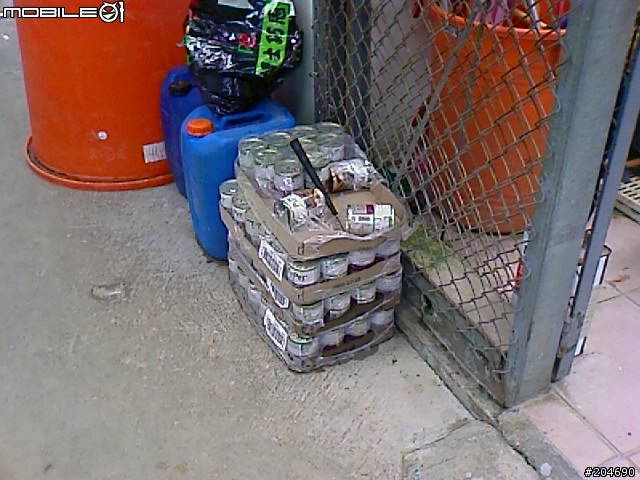 17隻黃金獵犬