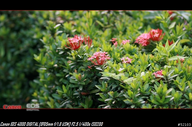 Canon大光圈定焦雙響炮EF35 F2 & EF85 F1.8 USM開箱分享