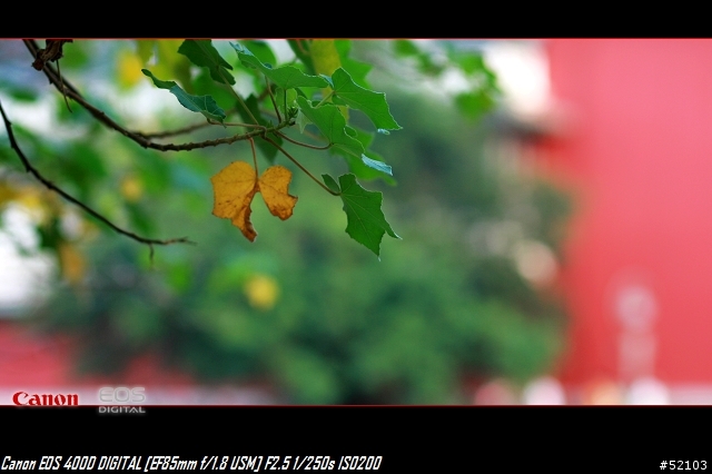 Canon大光圈定焦雙響炮EF35 F2 & EF85 F1.8 USM開箱分享