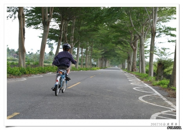 後山台東,龍田、關山、台東琵琶湖、海濱公園、馬蘭舊站自行車道單車之旅照片分享