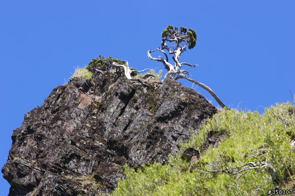 合歡山主峰
