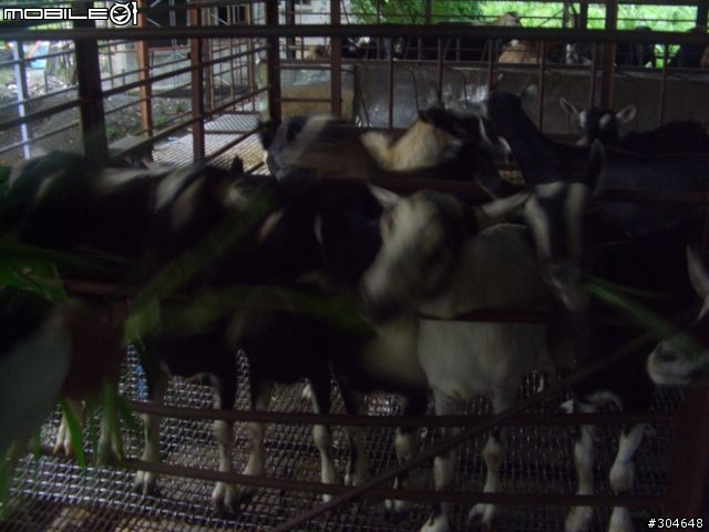 中秋北宜遊~第一天(9/21)